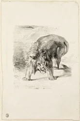 Stående lejon