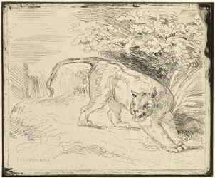 Tiger redo för våren