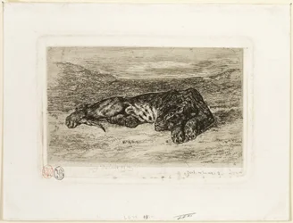 Tiger vilar i öknen
