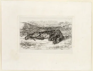 Tiger vilar i öknen