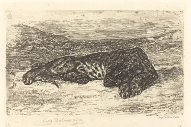 Tiger som sover i öknen Tiger som sover i öknen, 1846.