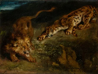 Tiger och lejon