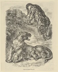Tigress attackerad av en tiger medan hon ammade hennes unga, 1853., 1853.