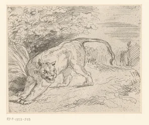 Tijger Tiger i stopp