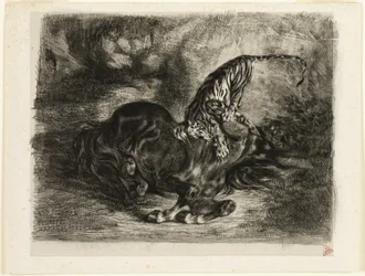 Vildhäst fälld av en tiger