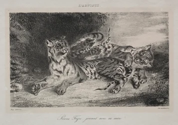 Ung tiger som leker med sin mamma