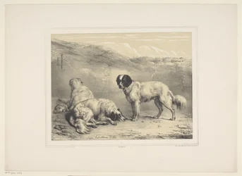 drie honden Diverse tamme dieren (serietitel) Tretton inhemska och inhemska djurämnen (serietitel)