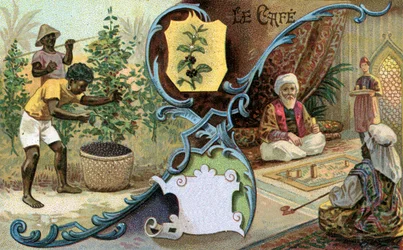 Kaffe, 1899