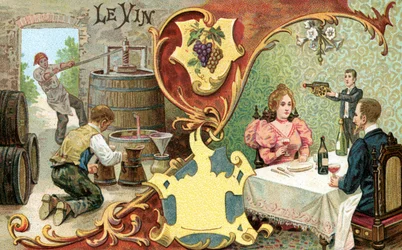 Vin, 1899