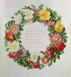Claude-Antoine Thory Les roses, Frontispice: Ode V av den grekiske poeten Anakreon, 1817 (litografi)