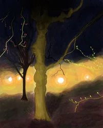 5:20 A.MProspect Park, Brooklyn (digital konst)