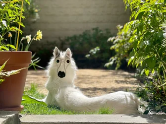 Backwards Dog Brooklyn (digital konst)