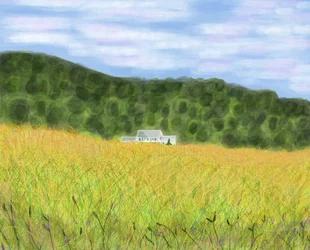 Field and Farmhouse In Vermont, 2018 (handritad på en iPad med en Apple-penna)