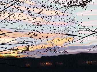 Hawk On Branch, prospect park (digital konst)