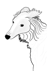 Linjeteckning av Silken Windhound (digital konst)