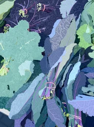 Purple Kale, 2025 (digital konst)