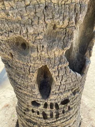 Skull Tree, 2025 (digital konst)
