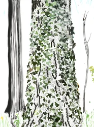 Träd med murgröna (digital konst)