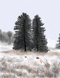 Wedded Pines