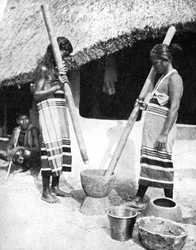 Newar kvinnor som dunkar spannmål, Nepal, 1936.