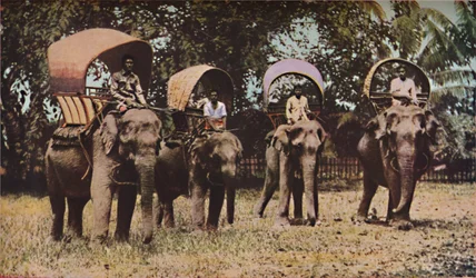 Siam, c1930-talet