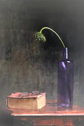 Vissnad blomma och bok