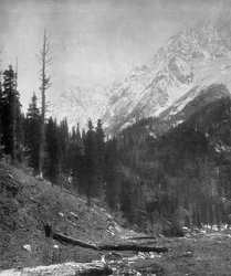 Sindh Valley glaciärer, Kashmir, Indien, tidigt 1900-tal