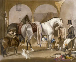 The Clipper, graverad av J.R. Mackrell (färg litho)