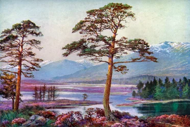 På Loch Tulla, Black Mount, Argyllshire, Skottland, 1924-1926.
