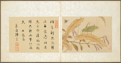 Album med diverse ämnen, blad 7, 1600-talet.