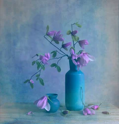 Stilleben med blå magnolia
