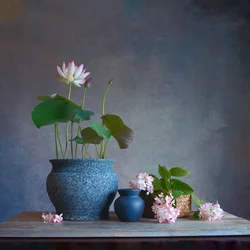 Fridfullt stilleben med lotus