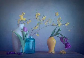 Vårvaser och blommor