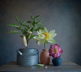 Stilleben med vita auberginer och dahlia
