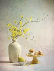 Förtjusande gula forsythior