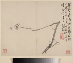 Album över Blossoming Plum