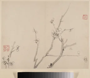 Album över Blossoming Plum