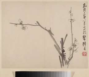 Album över Blossoming Plum