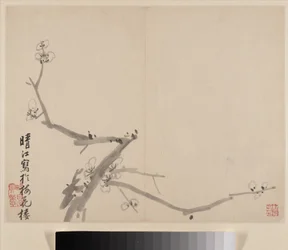 Album över Blossoming Plum