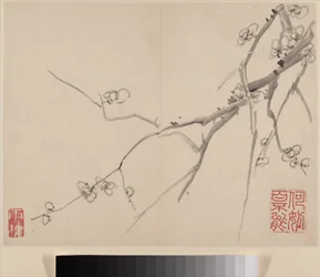 Album över Blossoming Plum