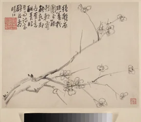 Album över Blossoming Plum