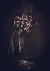 Rustikt blomsterstilleben