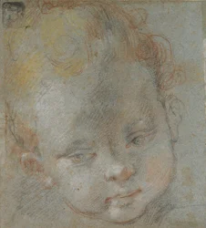 Head of a Child, sent 1500-tal