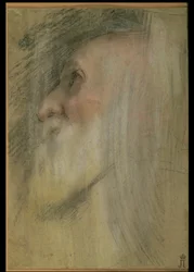 Head of an Old Man in Profile, c.1575-9 (pastell, svart krita och sangvin)