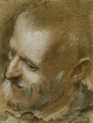 Studie av huvudet på en skäggig man som vändes åt vänster, 1590