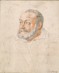 Porträtt av en man, Barozzi da Vignola, 1500-talet