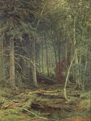 Träsk i skogen, höst, 1872