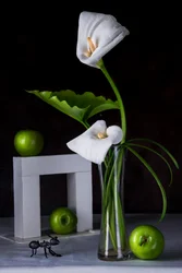 Calla-liljor Gröna äpplen