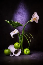 Eleganta callaliljor och gröna äpplen