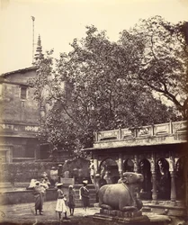 Helig brunn (Benares)